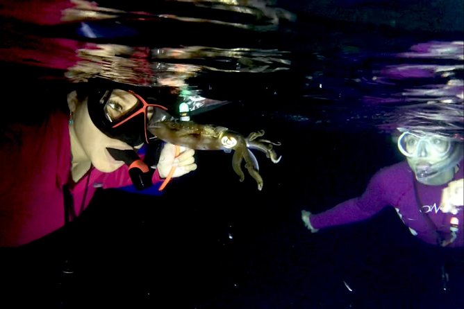Night Snorkeling - Observation of octopus and other species - Weather, safety, and comfort after dark