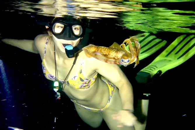 Night Snorkeling - Observation of octopus and other species - Getting equipped for the water