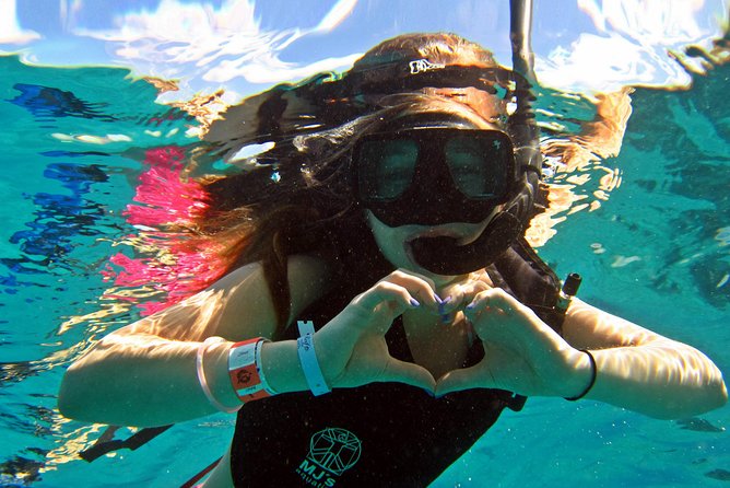 Official Chankanaab Beach Park Day pass with Snorkel - The reef route and what you may see