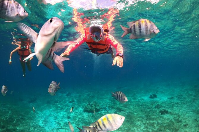 Official Chankanaab Park Day pass and Snorkel with Lunch included - Entering Chankanaab Park and finding your way around