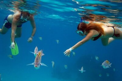 Official Chankanaab Park Day pass and Snorkel with Lunch included