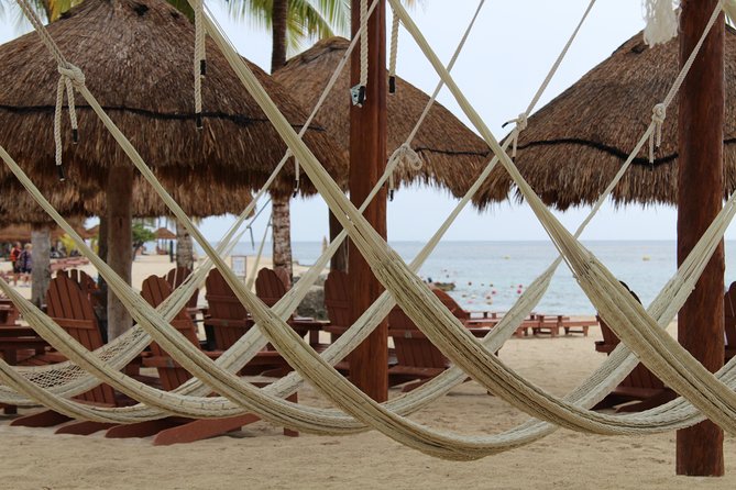 Official Chankanaab Park Day pass and Snorkel with Lunch included - How the value compares with a simple park visit