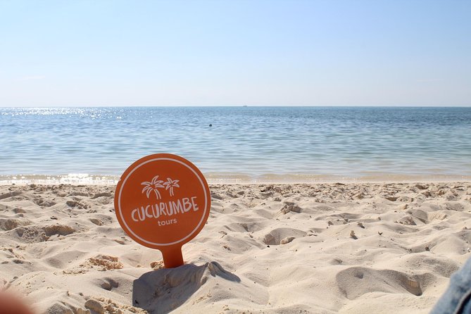 Official Chankanaab Park Day pass and Snorkel with Lunch included - Timing, transport, and making the day run smoothly