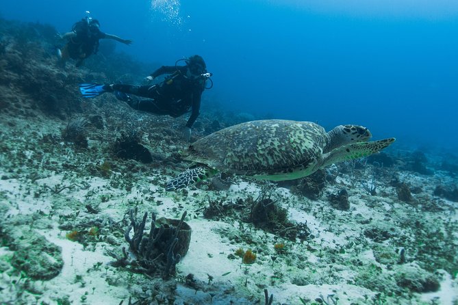Open Water Course Cozumel - Day two: Casa Cenote and the first open-water skills