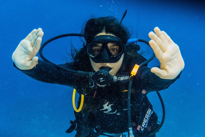 Open Water Course Cozumel - Teaching style and the instructors