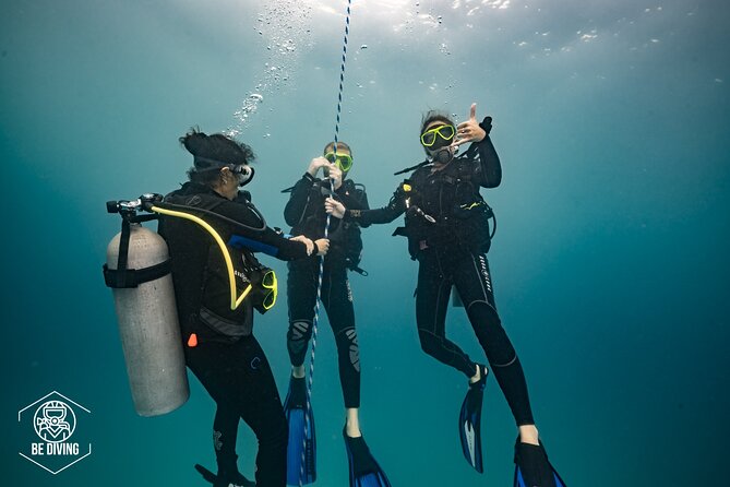 Open Water Course Cozumel - Marine conservation is part of the lesson