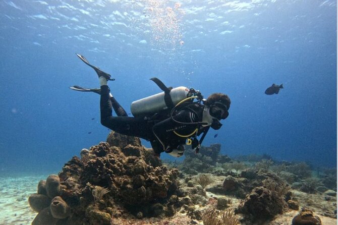 Open Water Diver Course - From first lesson to certified scuba diver