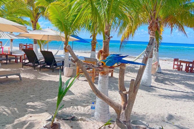 Otoch Mayan Experience Tour: Cultural & Historical Adventure - What the tour is worth for different types of visitors