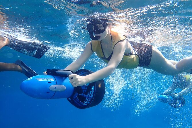 Power Snorkel By Sea Scooters & Tequila Tasting - Practical concerns before you book