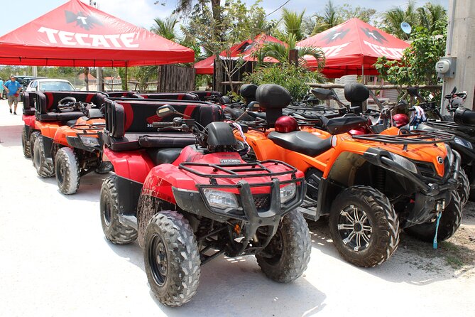 Private Buggy & ATV Tour to Jade Cavern Cenote: All-Inclusive - Meeting your guide near the cruise piers