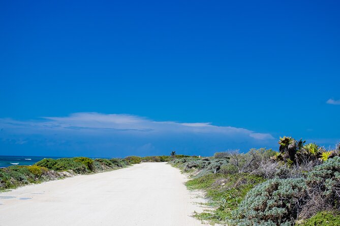 Private Buggy Tour and Punta Sur Park: All-Inclusive - Why this private Cozumel tour works