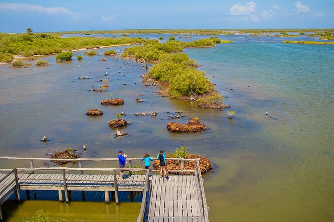 Private Buggy Tour and Punta Sur Park: All-Inclusive - El Mirador and San Martín Beach