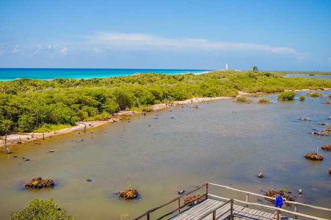 Private Buggy Tour and Punta Sur Park: All-Inclusive - Guides, timing, and the private format
