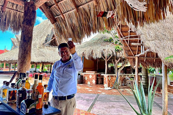 Private Buggy Tour in Cozumel, Snorkel & Lunch: All Inclusive - El Mirador: rocks, blowholes, and quick photo stops
