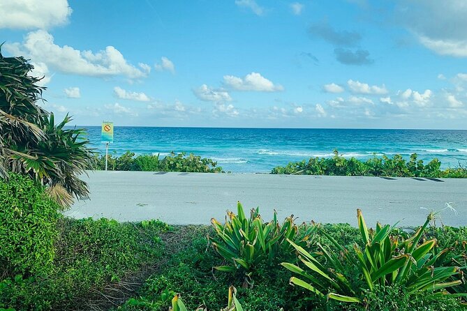 Private Buggy Tour in Cozumel, Snorkel & Lunch: All Inclusive - Guides can shape the whole day