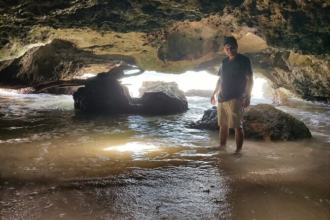 Private Cozumel Cave and Ruin Exploration Tour with Mexican Lunch - San Martin Turtle Camp connects the beach with wildlife