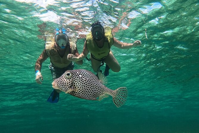 Private Cozumel Jeep and Jade Cavern Cenote Tour - San Martin Beach brings food and the wild side
