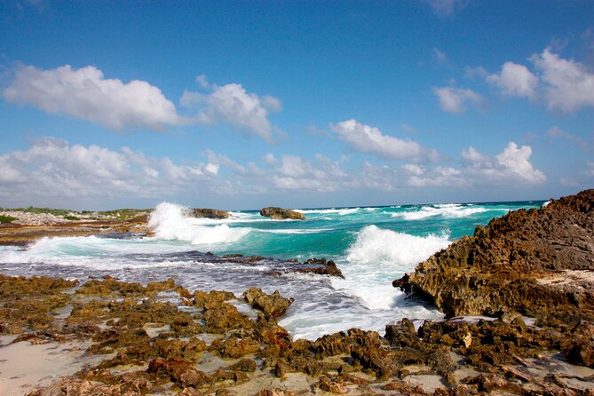 Private Cozumel Jeep and Jade Cavern Cenote Tour - Chocolate and tequila make the finish easygoing