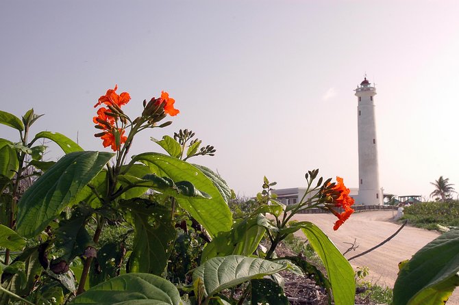 Private Island Tour at Your Leisure - Meeting your guide at the port or hotel