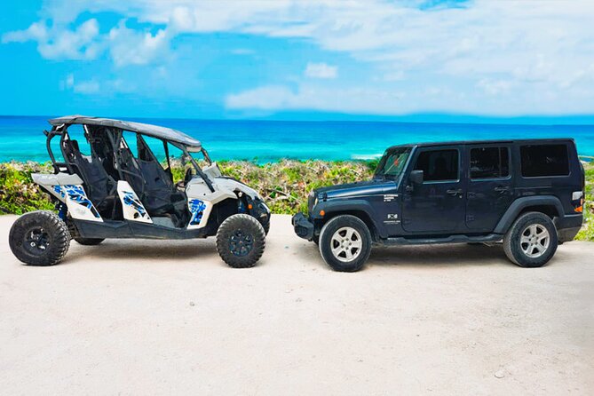 Private Jeep and 4x4 Polaris RZR Tour with Mexican Lunch - A five-hour tour with a little bit of everything