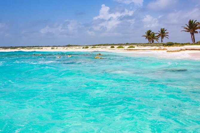 Private Jeep and 4x4 Polaris RZR Tour with Mexican Lunch - Sabores de Cozumel combines RZR driving with Mexican food traditions