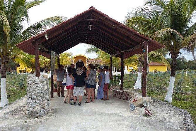 Private Jeep Excursion in Cozumel with Lunch and Snorkeling - El Mirador and the east-coast road
