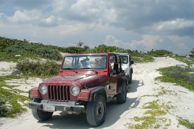 Private Jeep Experience Snorkel Tour, Cenote & Punta Sur Eco Park - A private way to see more of Cozumel
