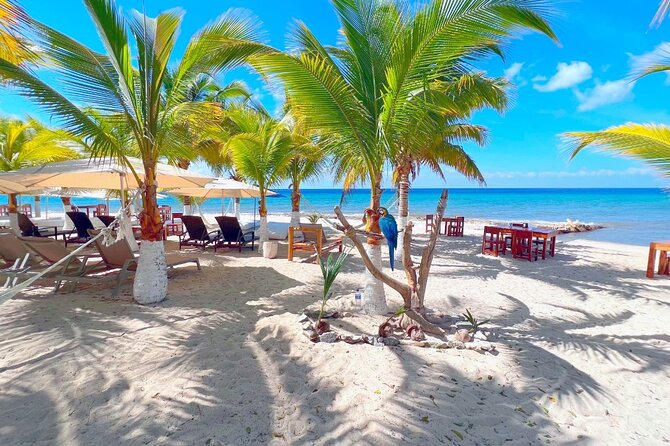 Private Jeep or Buggy Tour Snorkeling Maya Park and Tacos - How much value do you get for $79?