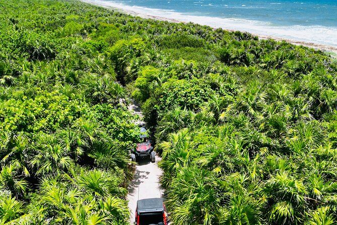 Private Jeep & Polaris RZR: San Gervasio Mayan Ruins & Snorkeling - A five-hour Cozumel day with a lot packed in