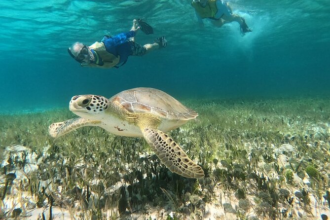 Private Jeep Tour & ATV to Jade Cavern Cenote: All Inclusive - A fast private circuit around Cozumel