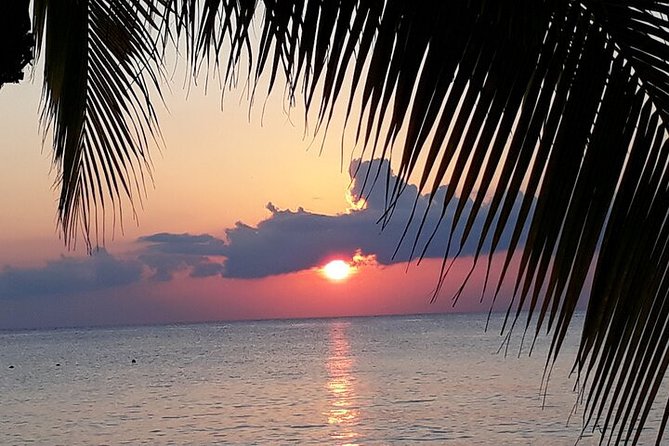 Private Jeep Tour in Cozumel - Beach time, snorkeling, and lunch