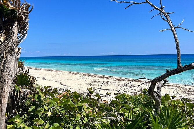 Private Mayan Ruins Tour with Cenote/caves and Mexican Picnic - The guides are the heart of the experience