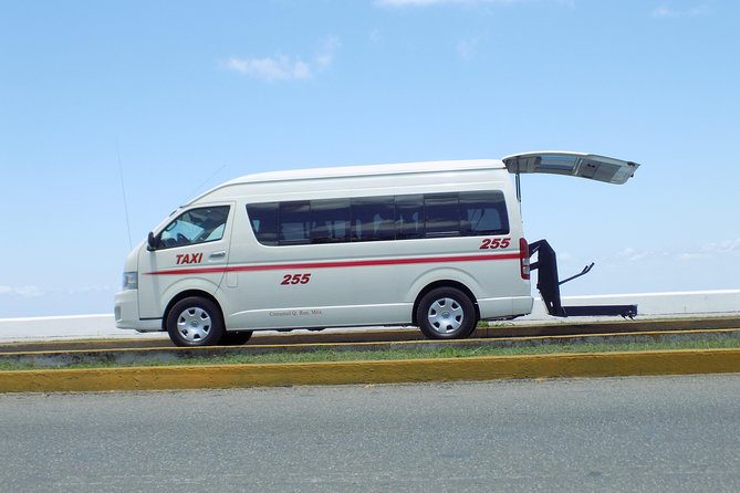 Private Shuttle Cozumel Airport - Hotel (South Area) Airport (Round Trip) - The airport pickup is the part to plan carefully