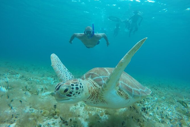 Private Sky Snorkeling Tour - Timing, weather, and the best kind of group