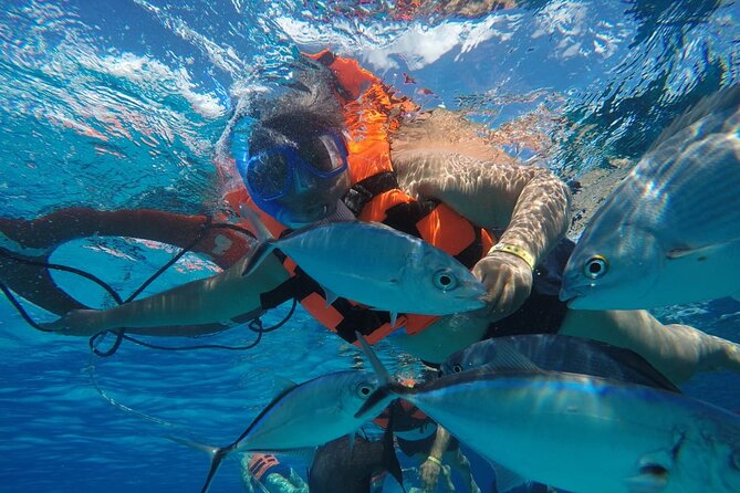 Private Sky Snorkeling Tour - What to bring and what to clarify