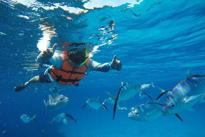 Private Sky Snorkeling Tour - Is the $520 price worth it?