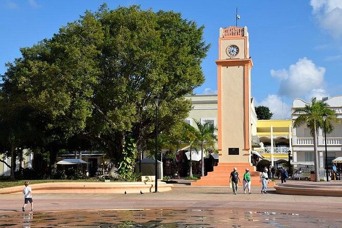 Private Tour: 5-Hour Cozumel Sightseeing with Private Driver and Tequila Tasting - San Gervasio and the cost of adding a guide