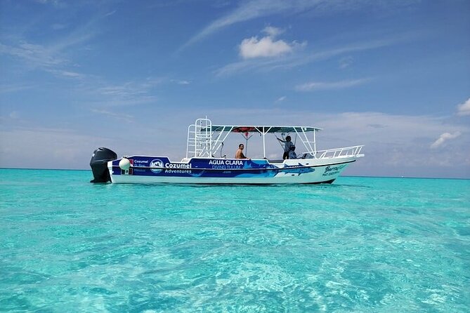 Private Tour in Cozumel El Cielo Sandbar and Reef Snorkeling - Why the reef and El Cielo make a good pair