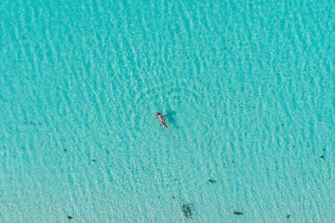 Private Tour in Cozumel El Cielo Sandbar and Reef Snorkeling - What the $189 price really covers