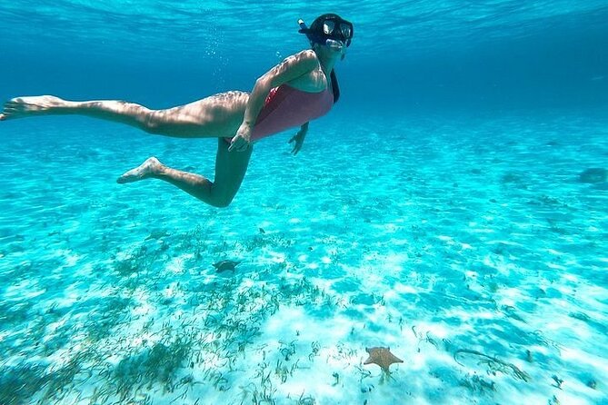 Private Tour in Cozumel El Cielo Sandbar and Reef Snorkeling - Who will enjoy this private outing most