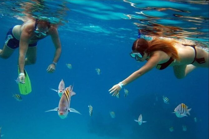 Private Tour of Cozumel in your own way Groups up to 6 People - Guides who shape the day