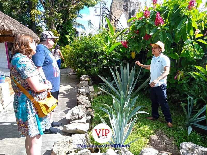 Private Van Service. Tasting the best of Cozumel - What the five-hour schedule really delivers
