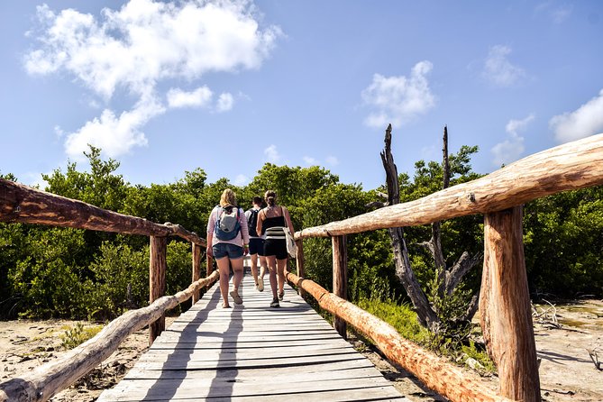 Punta Sur Eco Beach Park Electric Bike Tour in Cozumel - Faro Celarain and the best views in the park