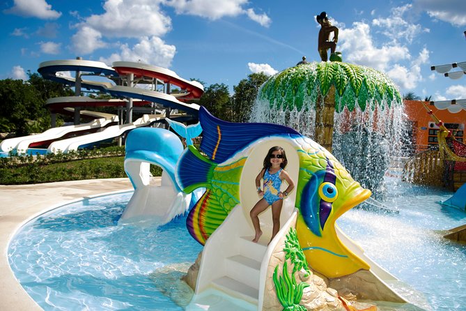 Roots Beach Club® - Snorkeling and protecting Cozumel’s reef