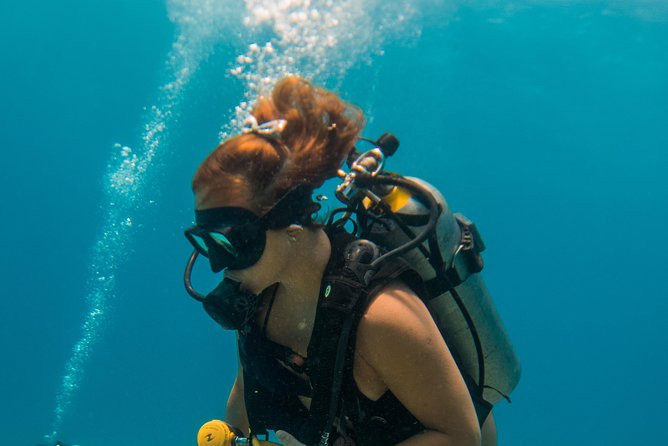 Scuba Diving in Cozumel Island - The one-hour break between sessions