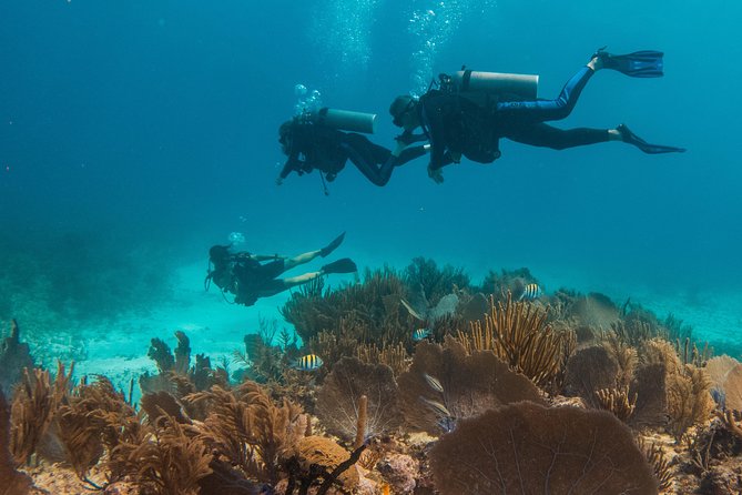 Scuba Diving in Cozumel Island - The second session and return to shore