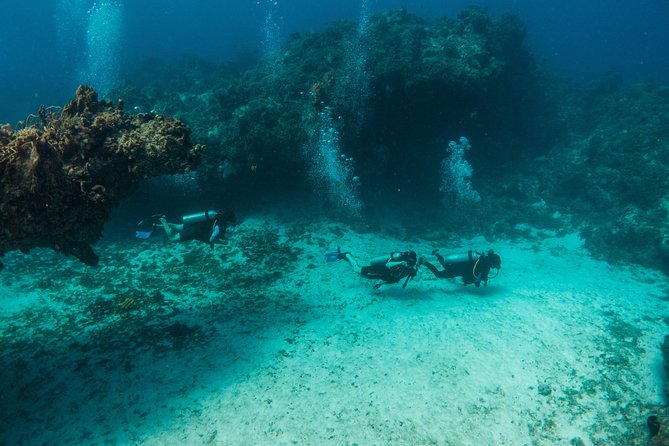 Scuba Diving in Cozumel Island - Is $220 a fair price?