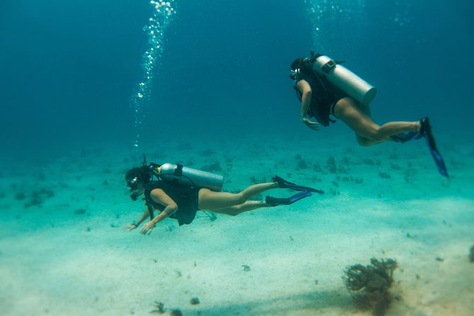 Scuba Diving in Cozumel Island - Who will enjoy this most