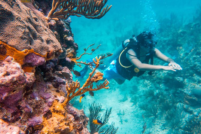 Scuba Diving in Cozumel Island - What happens before you enter the water