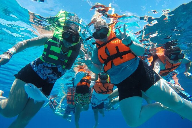 Shared Sky Snorkeling in Cozumel - Starting at Marina Caleta